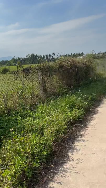 Đất nền Phường Hoàng Văn Thụ, TP Bắc Giang 1350m² - Sổ đỏ chính chủ