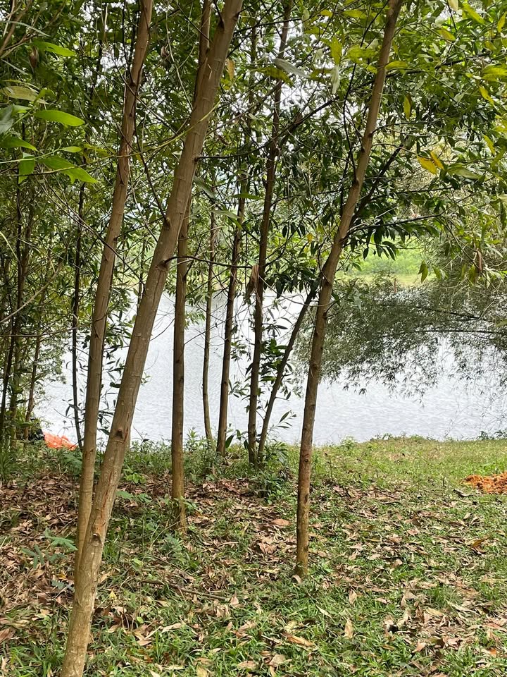 Đất vườn Tịnh Giang, Sơn Tịnh 10440m² - Nghỉ dưỡng lý tưởng!