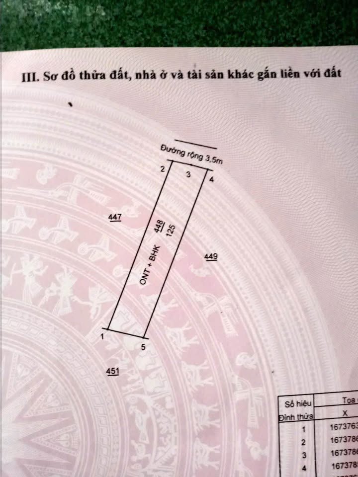 Đất Nền Vị Trí Đẹp Xã Nghĩa Thuận, Tư Nghĩa - 125m² Hướng Bắc - Giá Tốt