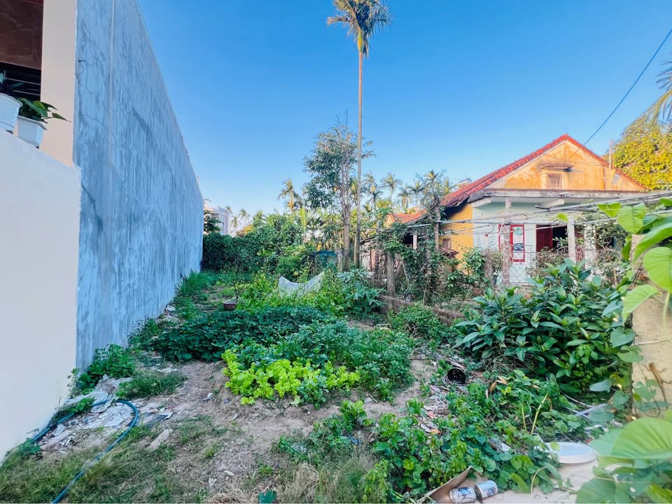 Bán Gấp Đất Nền 97m² Hẻm Nguyễn Văn Linh, Quảng Ngãi - Giá 1.1 Tỷ