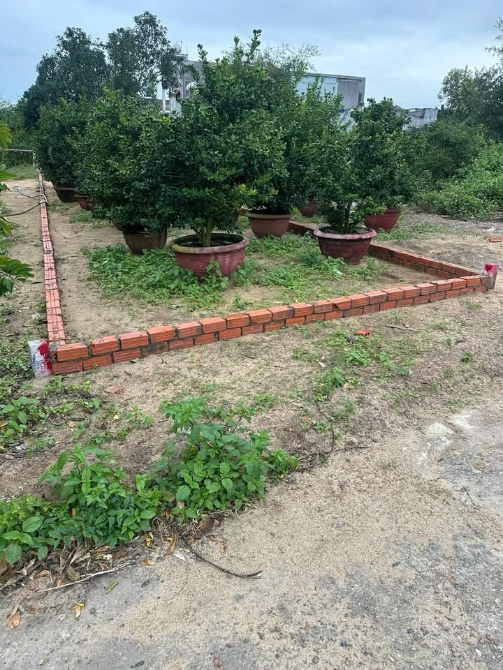 Đất nền Hà My Tây 100m² 1.4 tỷ - Tiềm năng tăng giá vượt trội!