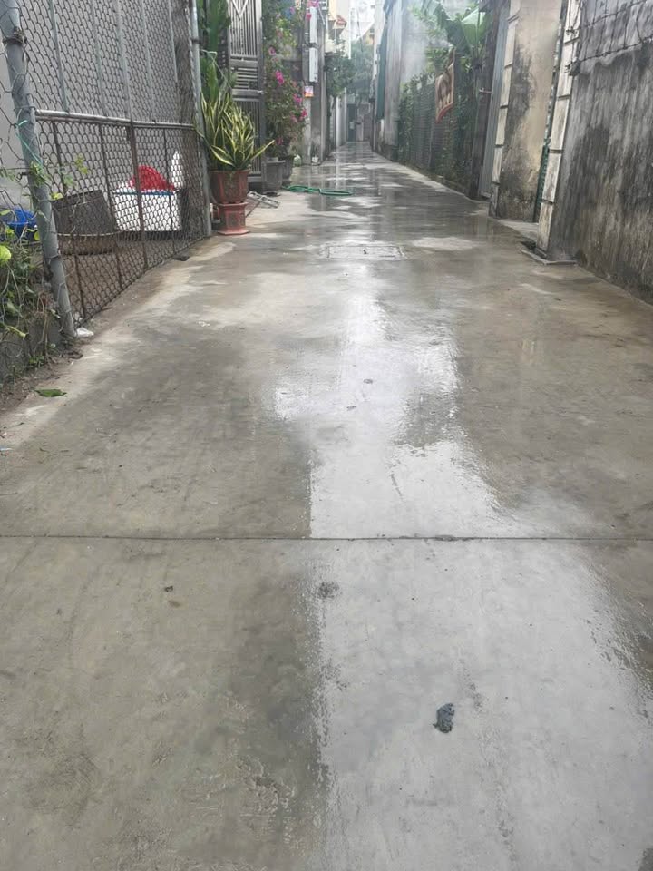 Bán đất Trần Lãm, Thái Bình 50m² - Lộc Vàng đầu năm!