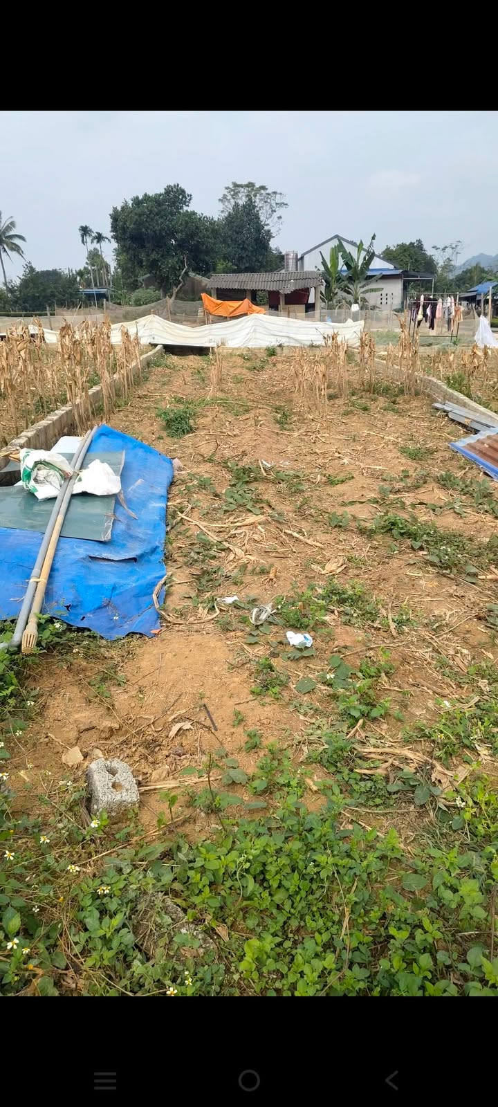 Đất nền Lạc Thủy 85m² - Đường ô tô, tiềm năng sinh lời!