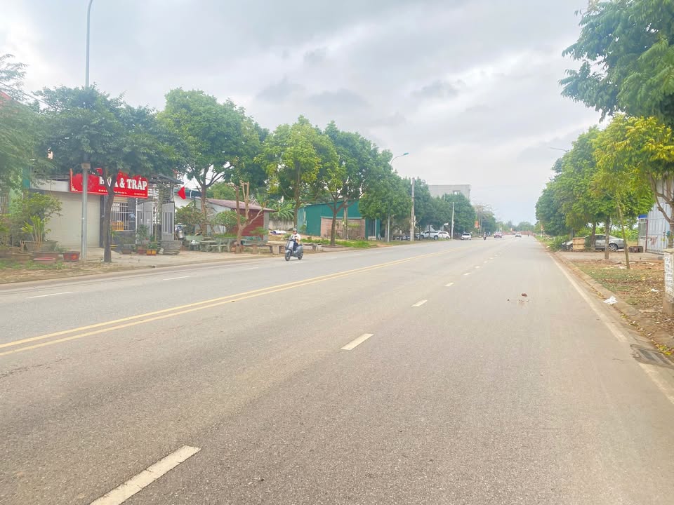 Mặt Tiền Kinh Doanh Đường Vũ Thê Lang, Việt Trì - 133m²