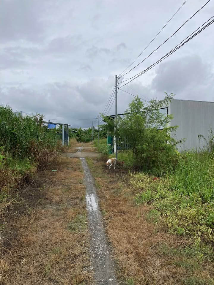 Đất Vị Thanh 150m² Mặt Tiền Hẻm Nguyễn Chí Thanh - Giá 399 Triệu