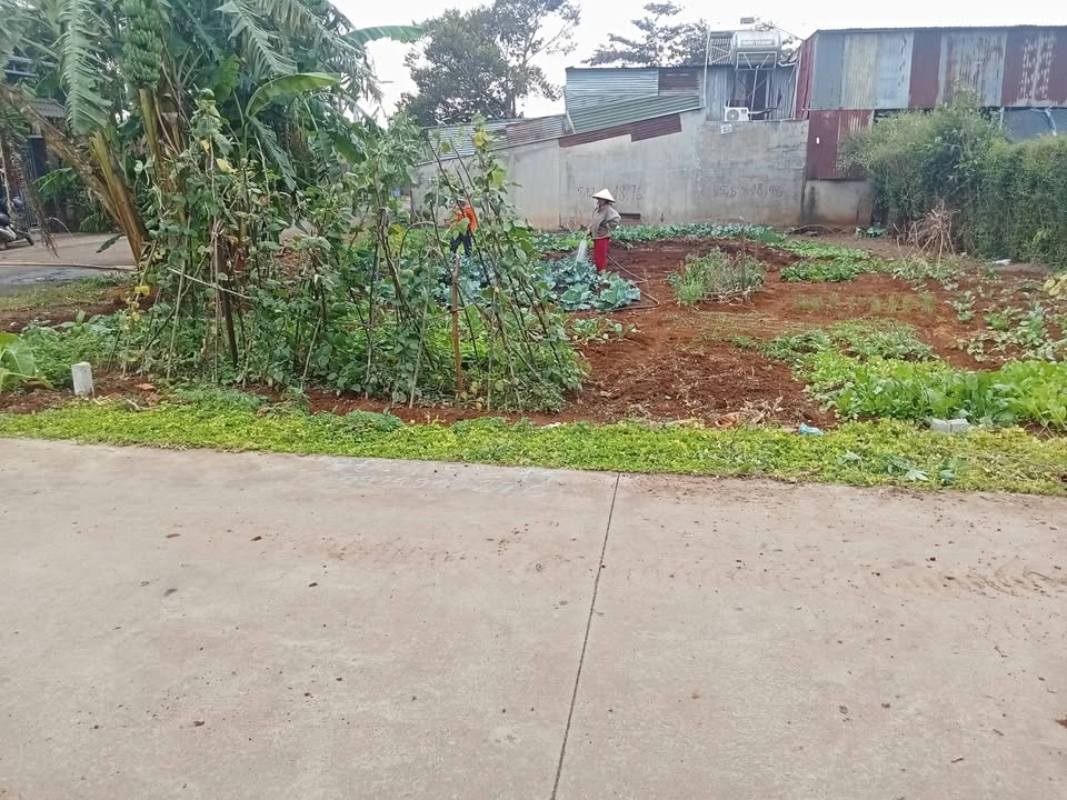 Bán Đất Thổ Cư 129m² Hẻm Trần Kiên, Buôn Ma Thuột - Giá 1.9 Tỷ