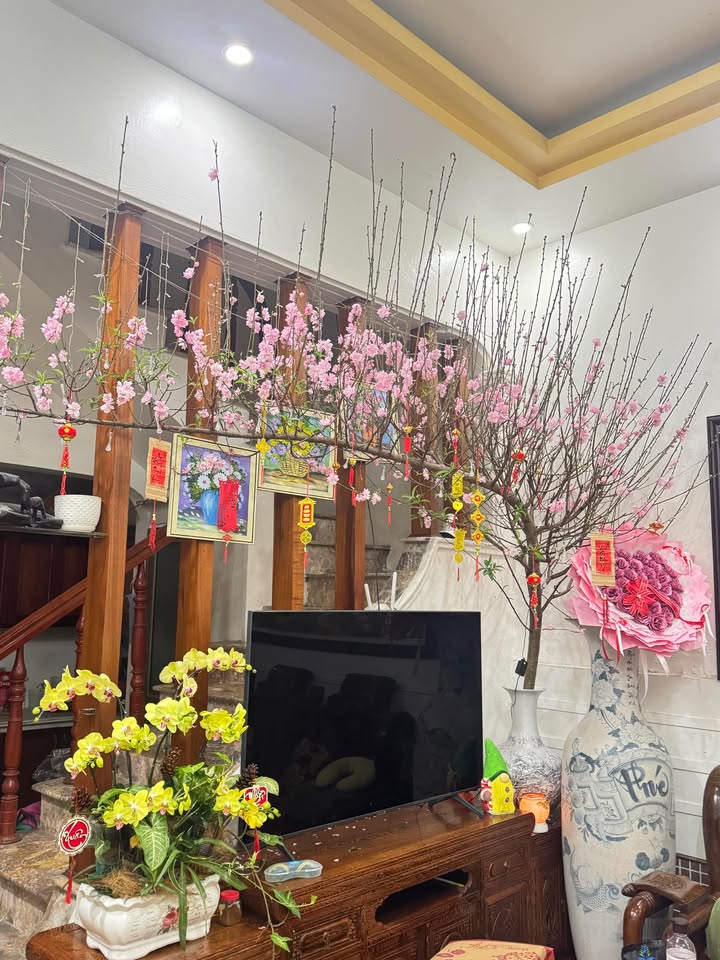 Đất nền Phường Nam Bình, TP Hoa Lư 79m² giá 3 tỷ - Sổ đỏ chính chủ!