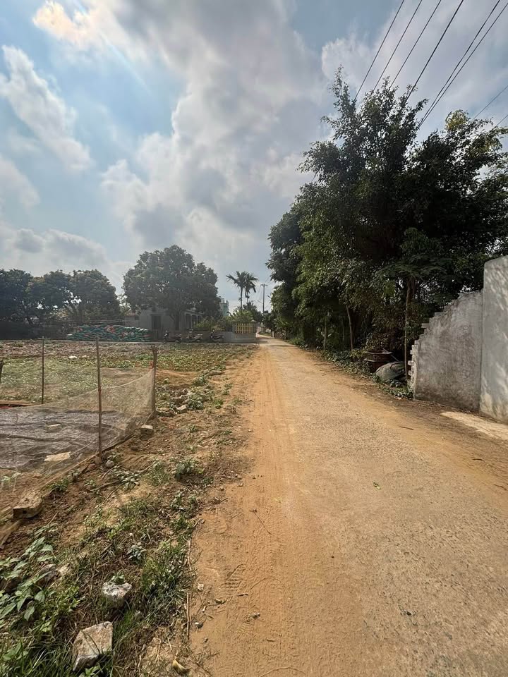 Đất nền Ninh Phúc, Ninh Bình 100m² - Ô tô vào tận đất, giá 1.2 tỷ