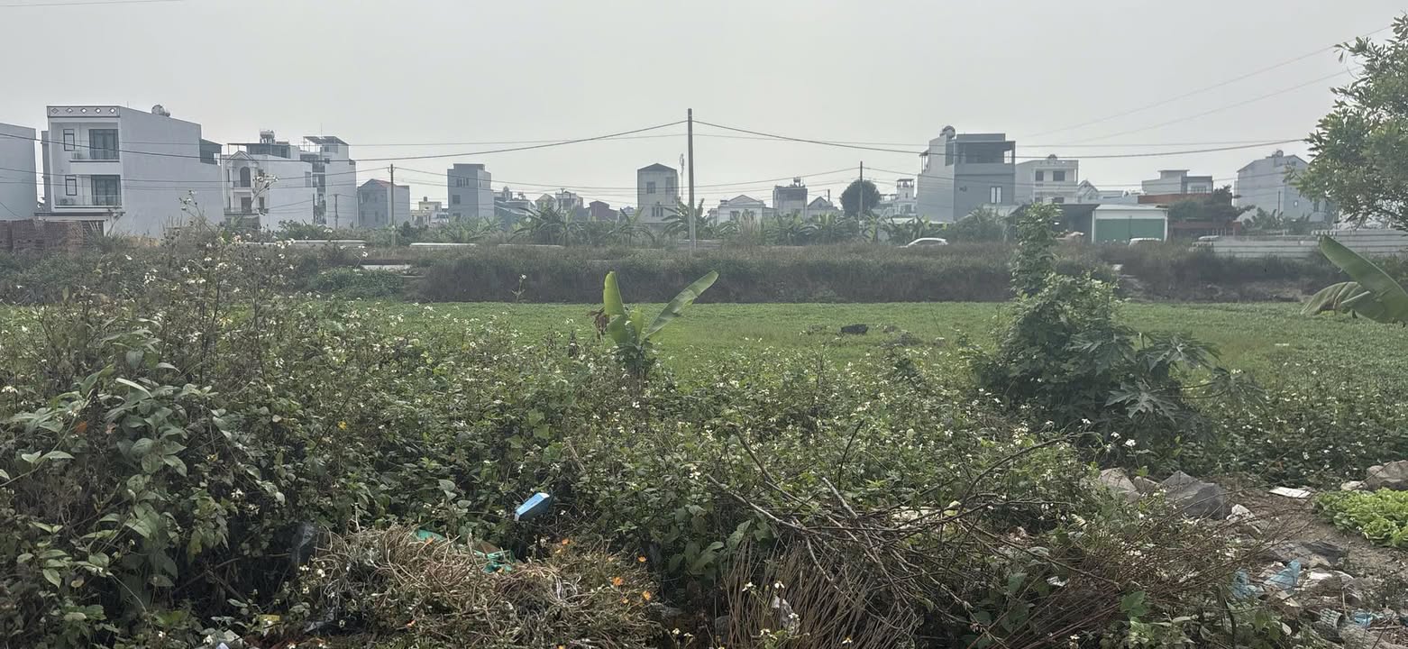 Đất nền KĐT Bắc Phong Ninh Bình 133m² - Tiềm năng tăng giá!