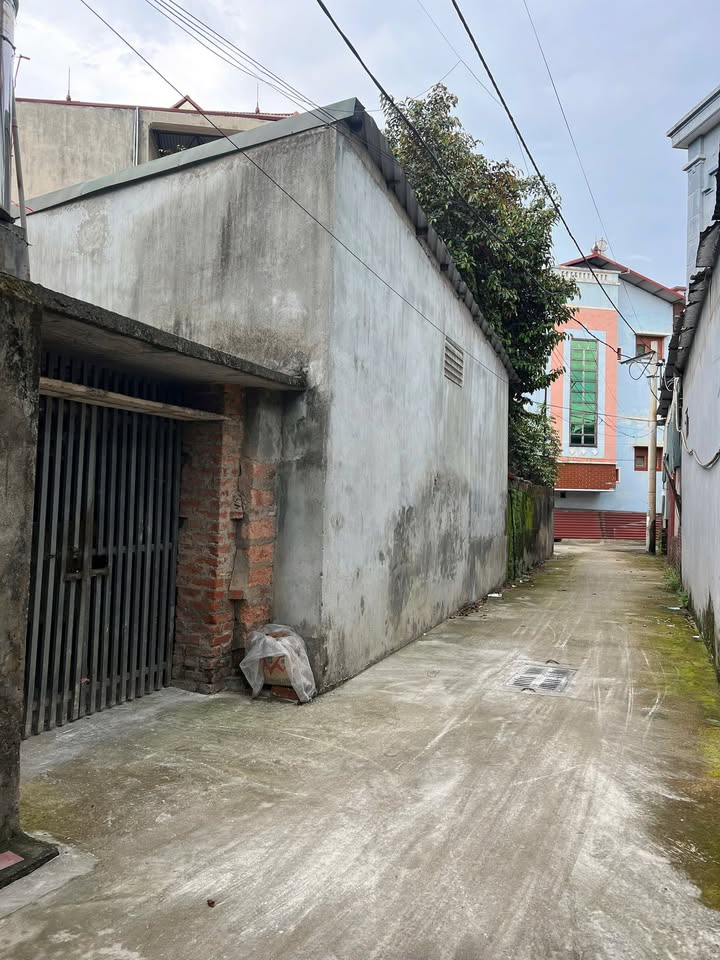 Đất Nền Phúc Thọ, Hà Nội - 50.6m² - Hơn 1 Tỷ - Sẵn Sàng Đầu Tư