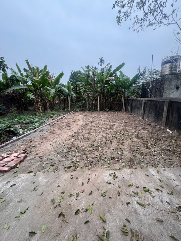 Đất nền Thanh Trì 55m² - Sổ đỏ vuông, đón đầu TP ven sông Hồng