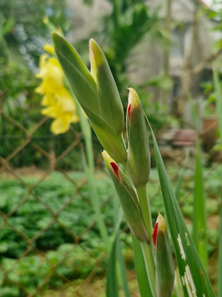 Đất nền Phường 5, Quận 5, 168m² - Tiềm năng tăng giá vượt trội!