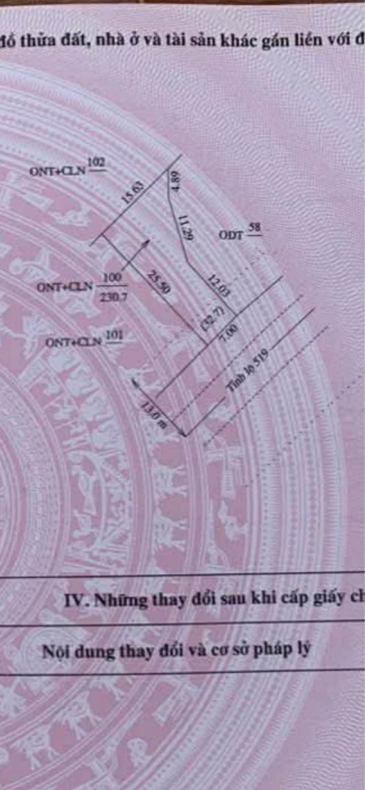 Đất nền Thường Xuân 175m² - Đất thổ cư 100%, mặt tiền Tỉnh lộ 519!