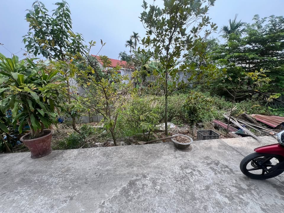 Đất nền Dương Kinh Hải Phòng 50m² - Sổ hồng sẵn, giá đầu tư 799 triệu