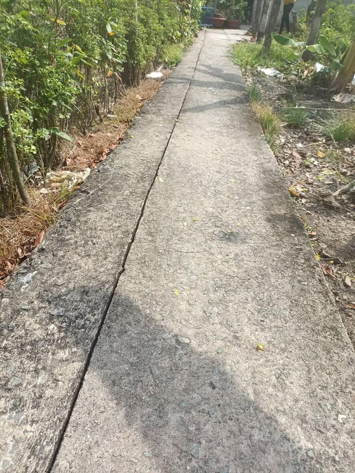 Đất Vườn 1500m² Mỹ Tịnh An, Tiền Giang - Giá Đầu Tư 650 Triệu