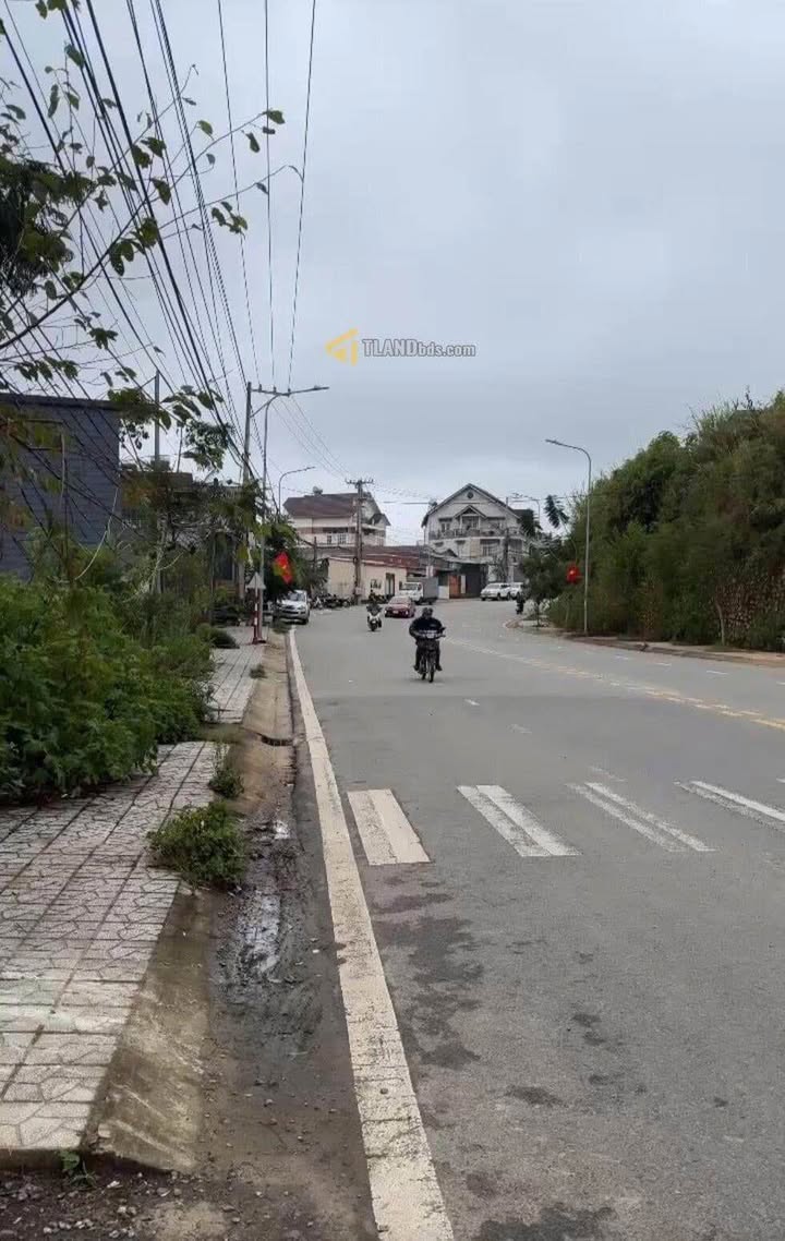 Đất Mặt Tiền Cù Chính Lan 550m² - Sổ Đỏ Riêng, Hướng Tốt, Đà Lạt