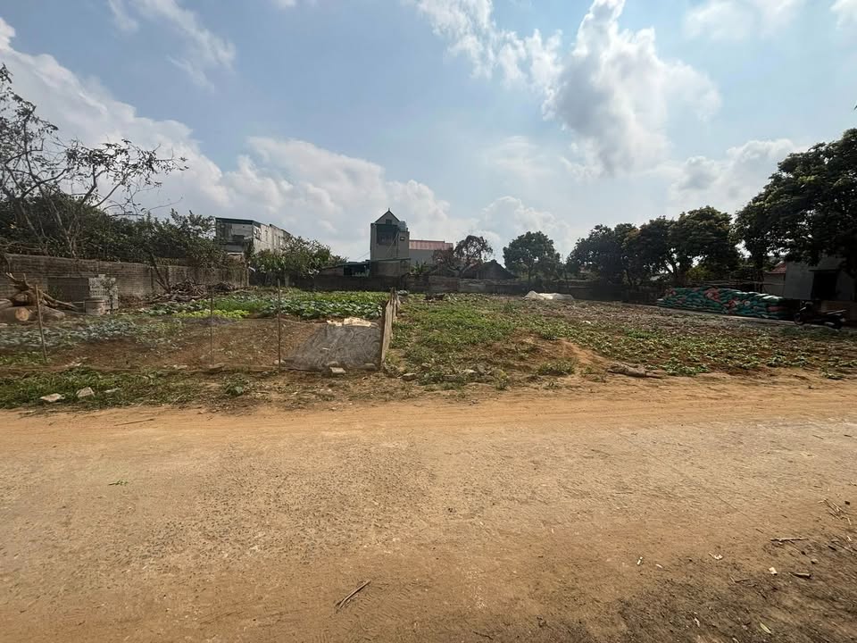 Đất nền 100m² Ninh Phúc, Ninh Bình – Đường to ô tô, sổ đỏ trao tay!