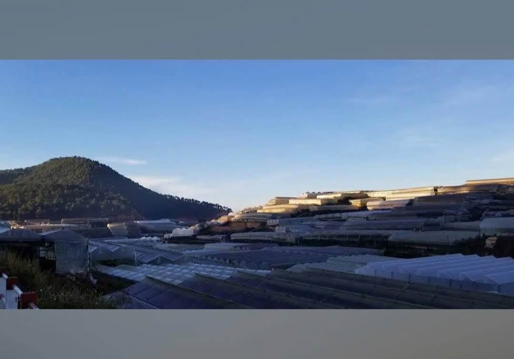 Đất nền Thái Phiên Đà Lạt 60m² - Pháp lý rõ ràng!