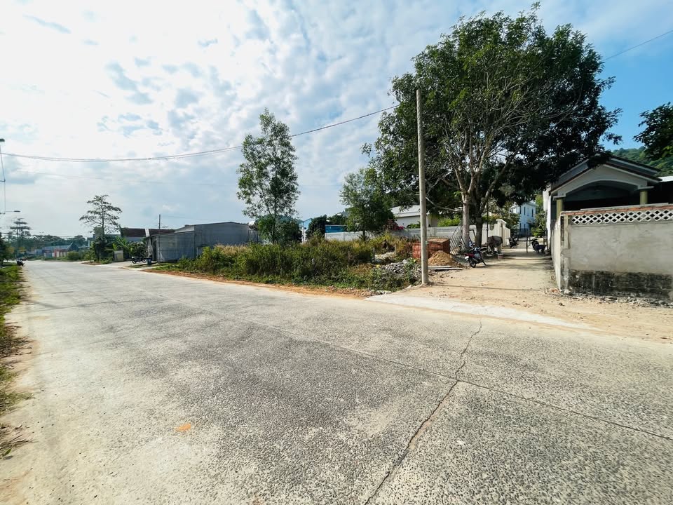 Đất nền Cây Thông Ngoài 120m² 900 triệu - Giá tốt hiếm có