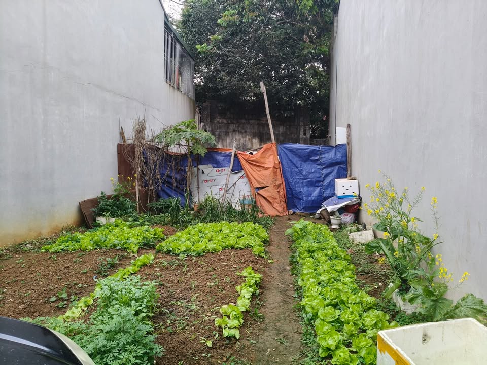 Đất nền Tam Thanh 61.4m² sổ đỏ - Giá 9xx triệu, Lạng Sơn