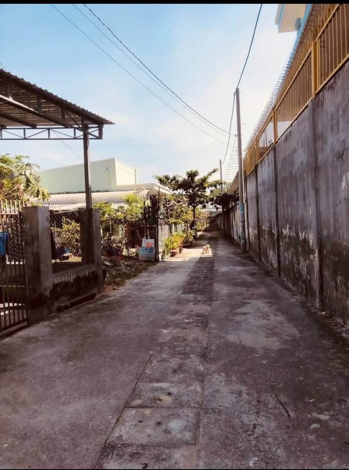 Đất nền Phường 12 Vũng Tàu 342m² - Sổ đỏ chính chủ, giá tốt!