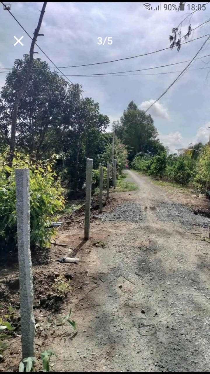 Bán Gấp 12.000m² Đất Trồng Mít Ruột Đỏ, Tháp Mười - Sổ Hồng Sẵn Sàng