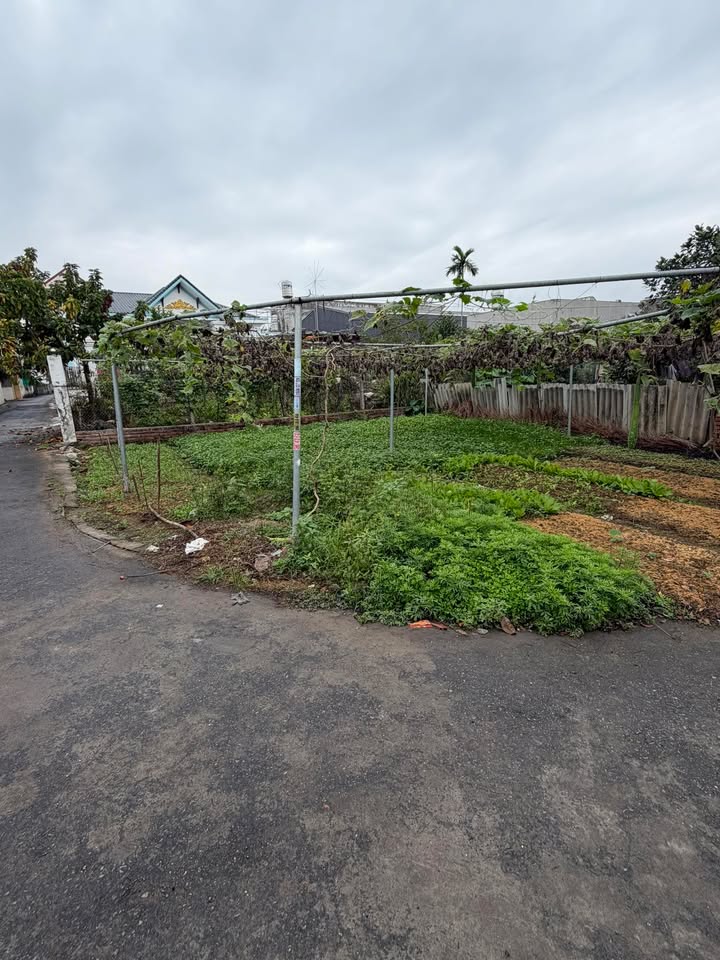 Bán Đất Lô Góc Thôn Độc Lập An Dương - 125m² - Giá 1.6 Tỷ