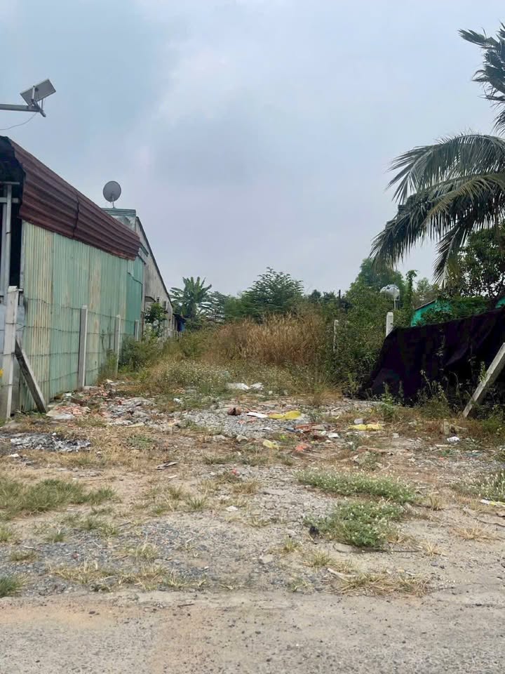 Đất Nhuận Đức Củ Chi 256m² MT Bùi Thị Điệt - Kinh doanh đắc lợi 2.66 tỷ