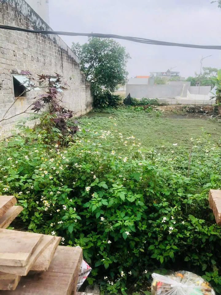 Đất nền 90m² Quang Hưng, Phù Cừ - Tiềm năng tăng giá vượt trội!