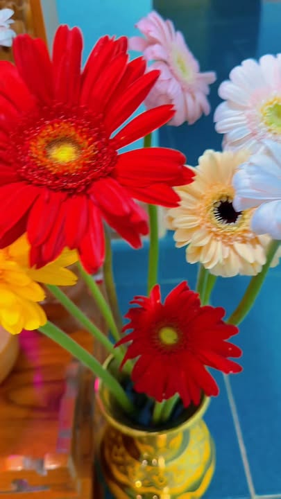 Đất nền Thôn Đồng phú Krông Năng 635.5m² - Sổ đỏ chính chủ