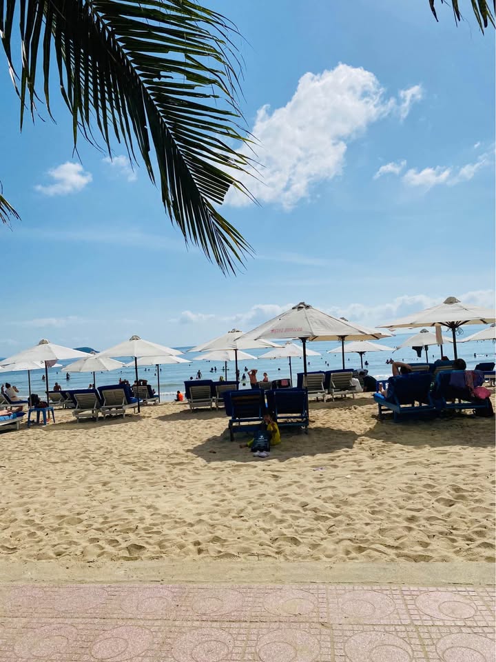 Bán Căn Hộ Mường Thanh Viễn Triều 71m² - View Biển Hòn Chồng - 3.2 Tỷ