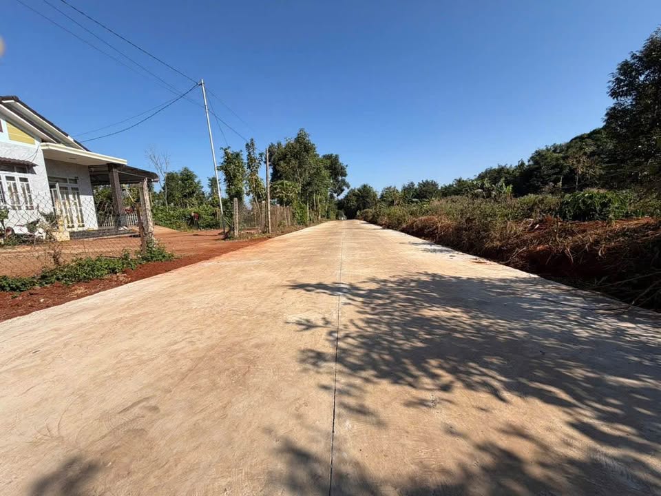 Đất nền Cư Suê 250m² Sổ đỏ chính chủ - Giá đầu tư 299 triệu