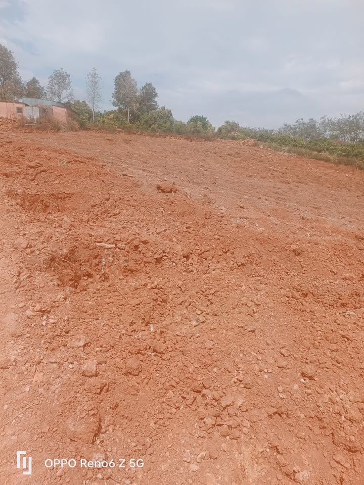 Đất Vàng Đăk Mil 30.000m² - Sổ Đỏ Sẵn Sàng - Giá 4 Tỷ