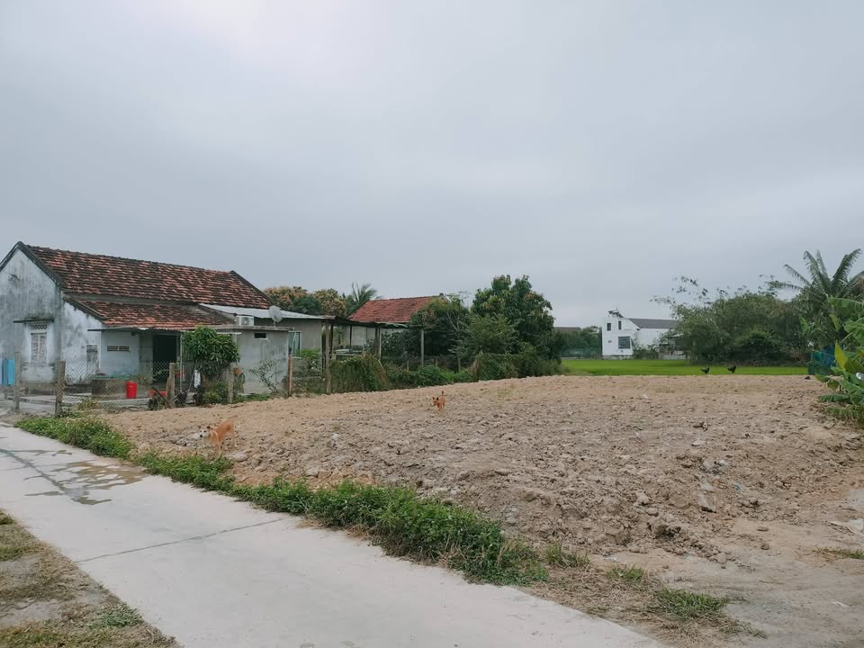 Bán Đất Ninh Hòa 469.7m² Sổ Đỏ, Mặt Tiền Bê Tông 14.6m