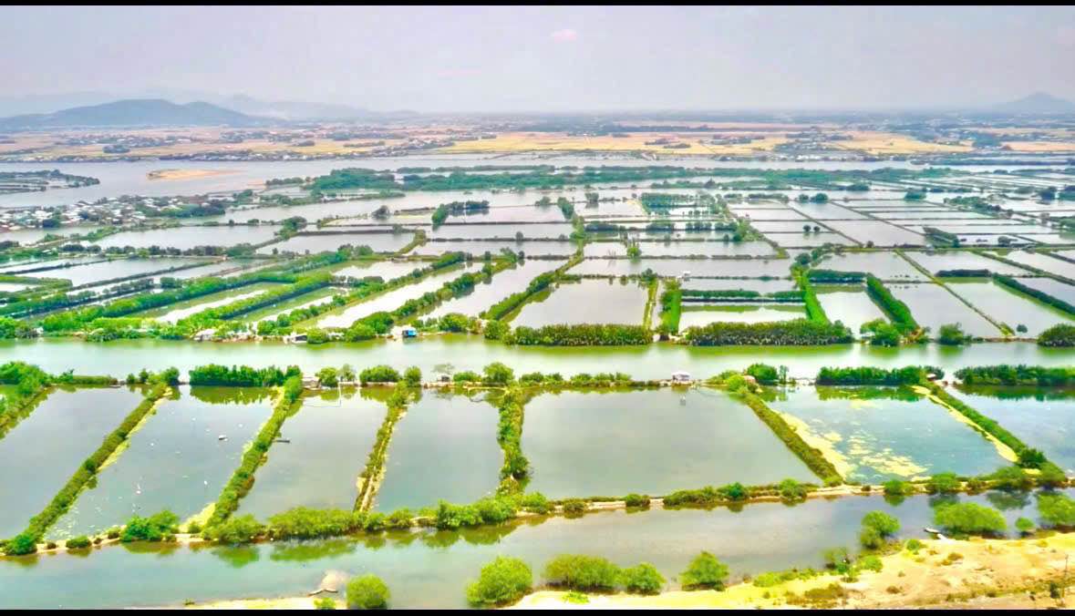 Đất Nền Đầu Tư Hấp Dẫn Tại Khe Đá Nhơn Hội, Quy Nhơn - Sổ Đỏ Sẵn Sàng