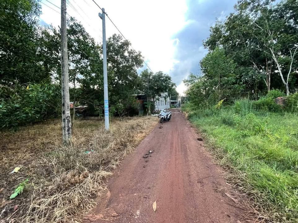 Đất nền Đồng Xoài 600m² - Tiềm năng tăng giá vượt trội!