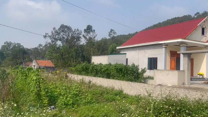 Đất nền Quỳnh Hoa 184m² giá 400 triệu - Sổ đỏ chính chủ!