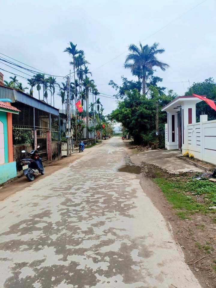 Đất Nền Mặt Tiền Nguyễn Du, Quỳnh Lưu 150m² - Vị Trí Vàng Kinh Doanh