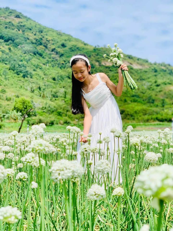 Nhà Mái Thái Cam Lâm 315m² - Ngang 9.99m - Giá 4.9 Tỷ - An Cư & Kinh Doanh