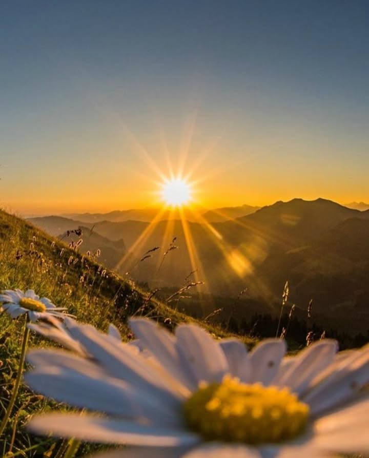 Đất kinh doanh Tà Nung Đà Lạt 2200m² - Vị trí đắc địa sinh lời ngay!