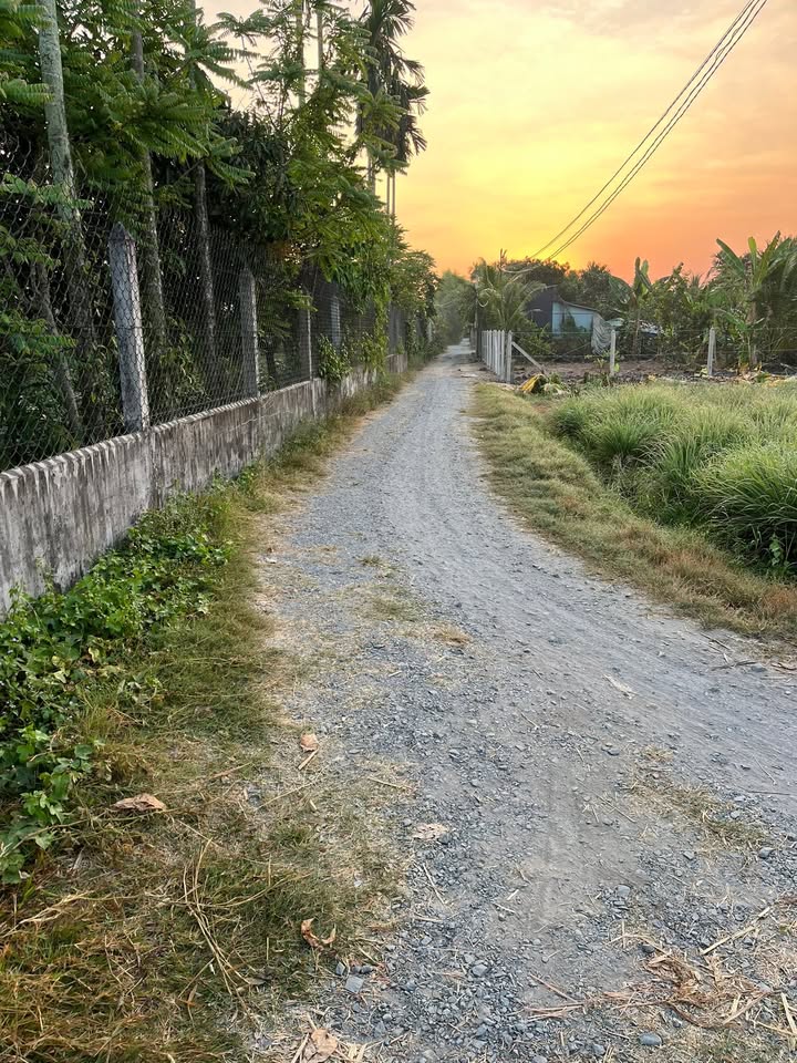 Đất vườn Trung An Củ Chi 4800m² - Nghỉ dưỡng lý tưởng, giá tốt!