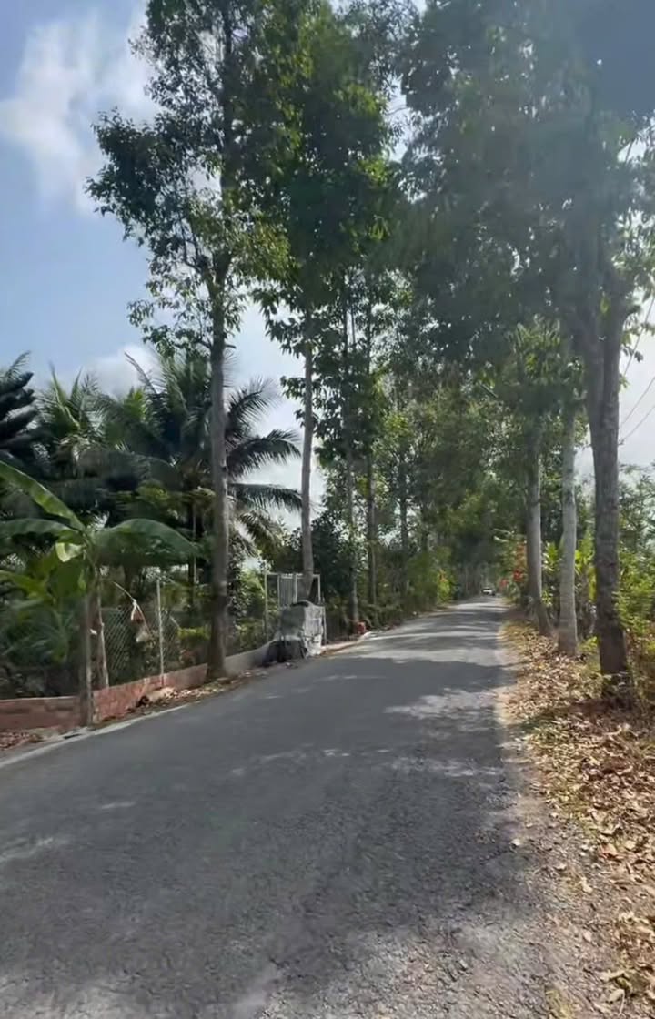 Đất nền Đông Phú Cờ Đỏ 364m² 1.55 tỷ - Sổ đỏ chính chủ