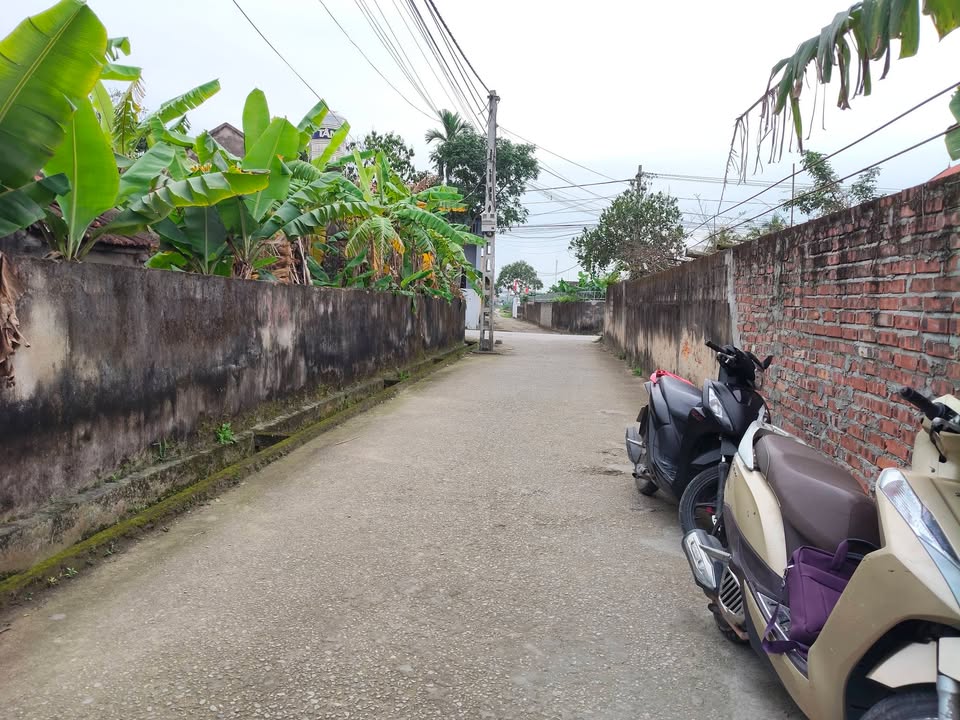 Đất nền Quảng Thành, Thanh Hóa 97m² - Sổ đỏ chính chủ, 1 tỷ