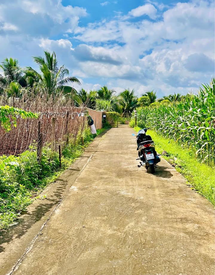 Đất Hẻm Y Wang, Buôn Ma Thuột - 180m² Sổ Đỏ, Giá 950 Triệu