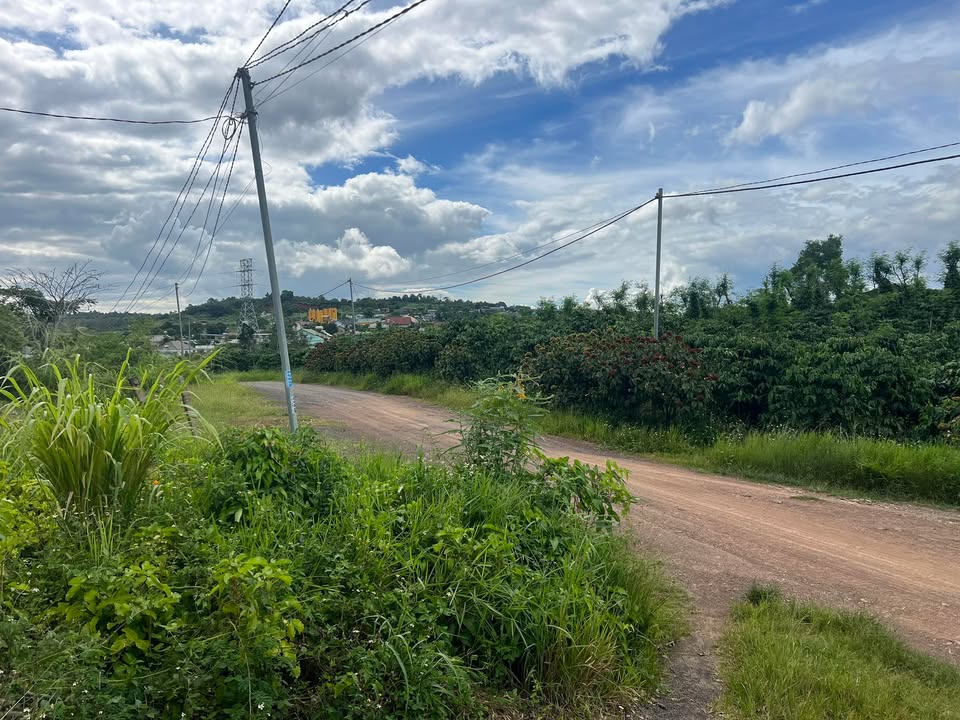 Đất thổ cư 100m² sát Quốc lộ 20, Di Linh, Lâm Đồng - 1 tỷ