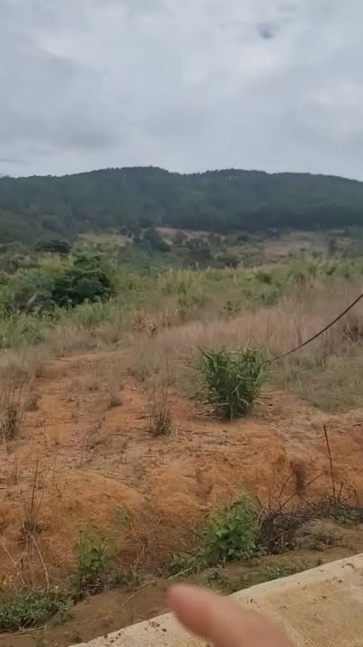 Bán Gấp 2 Lô Đất Đông Thanh - Lâm Đồng 200m² Giá Tốt