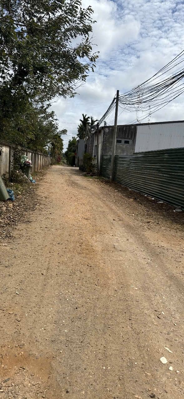 Đất Nền Tân Lập Đắk Lắk - 100m² Full Thổ Cư, Gần Chợ, Đường Ô Tô - 1.8 Tỷ