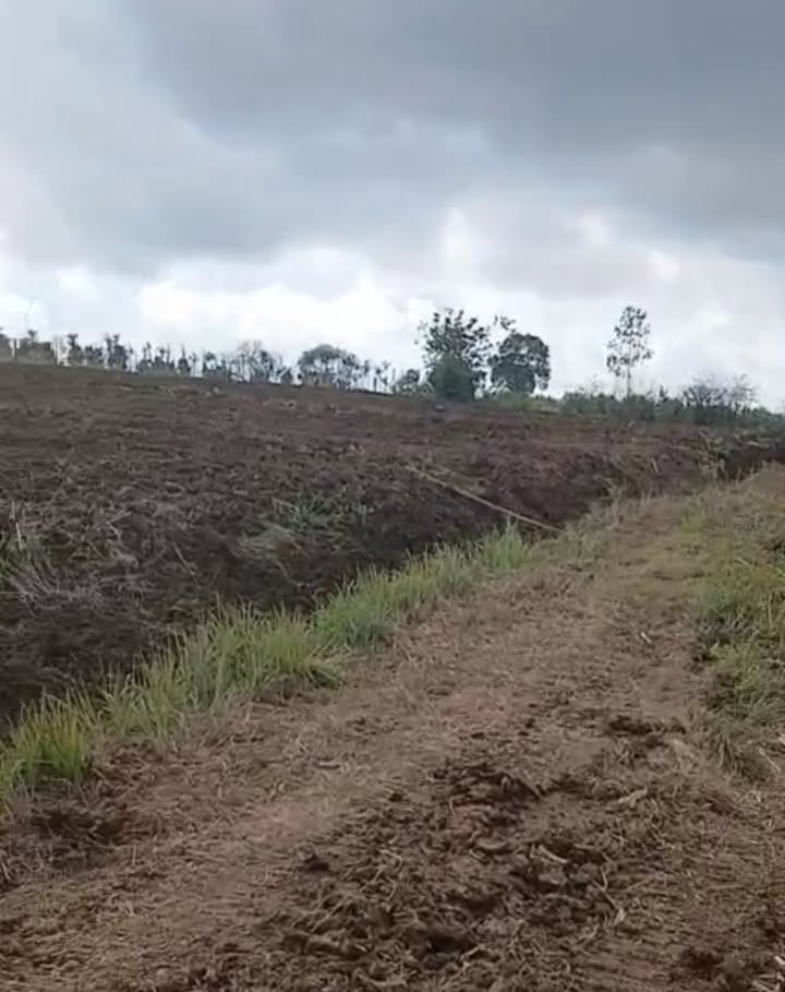 Đất Sào Ea Drông 9.459m² Đắk Lắk - Sổ hồng chính chủ, đường ô tô!