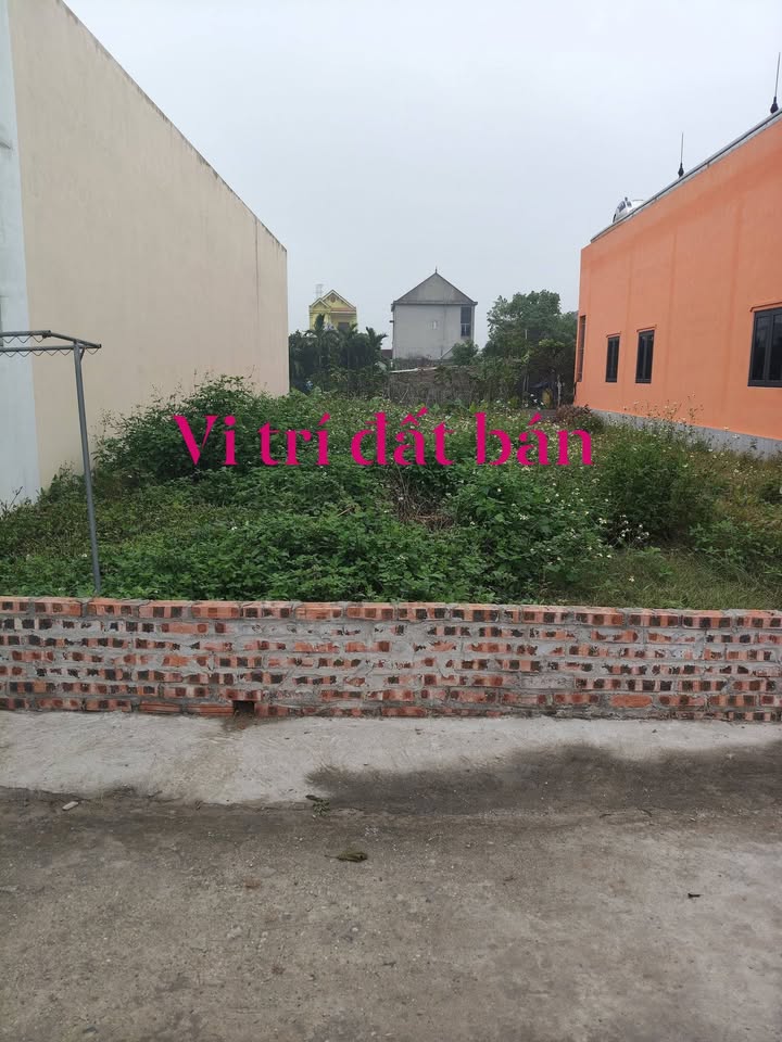 Đất nền Xóm 8, Ý Yên, Nam Định - 207m² Sổ đỏ sẵn sàng giao dịch