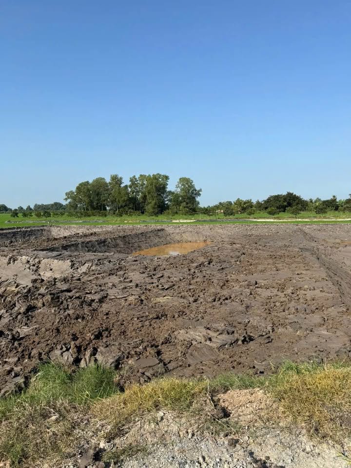 Bán Đất Nền Vĩnh Long 836m² - Sổ Sẵn, Gần Sa Đéc